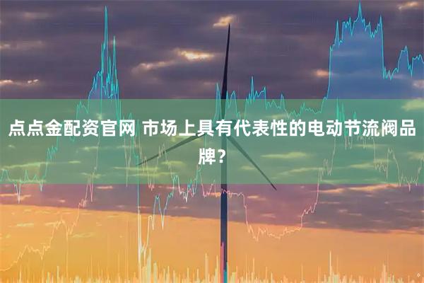 点点金配资官网 市场上具有代表性的电动节流阀品牌？